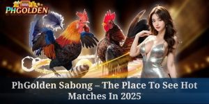 phgolden sabong